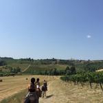 Go Horseback Riding