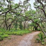Econ River Wilderness Area
