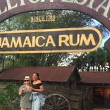 Private Transportation from Montego Bay to Appleton Estate & Pelican Bar