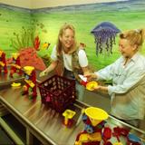 Ann Arbor Hands-On Museum