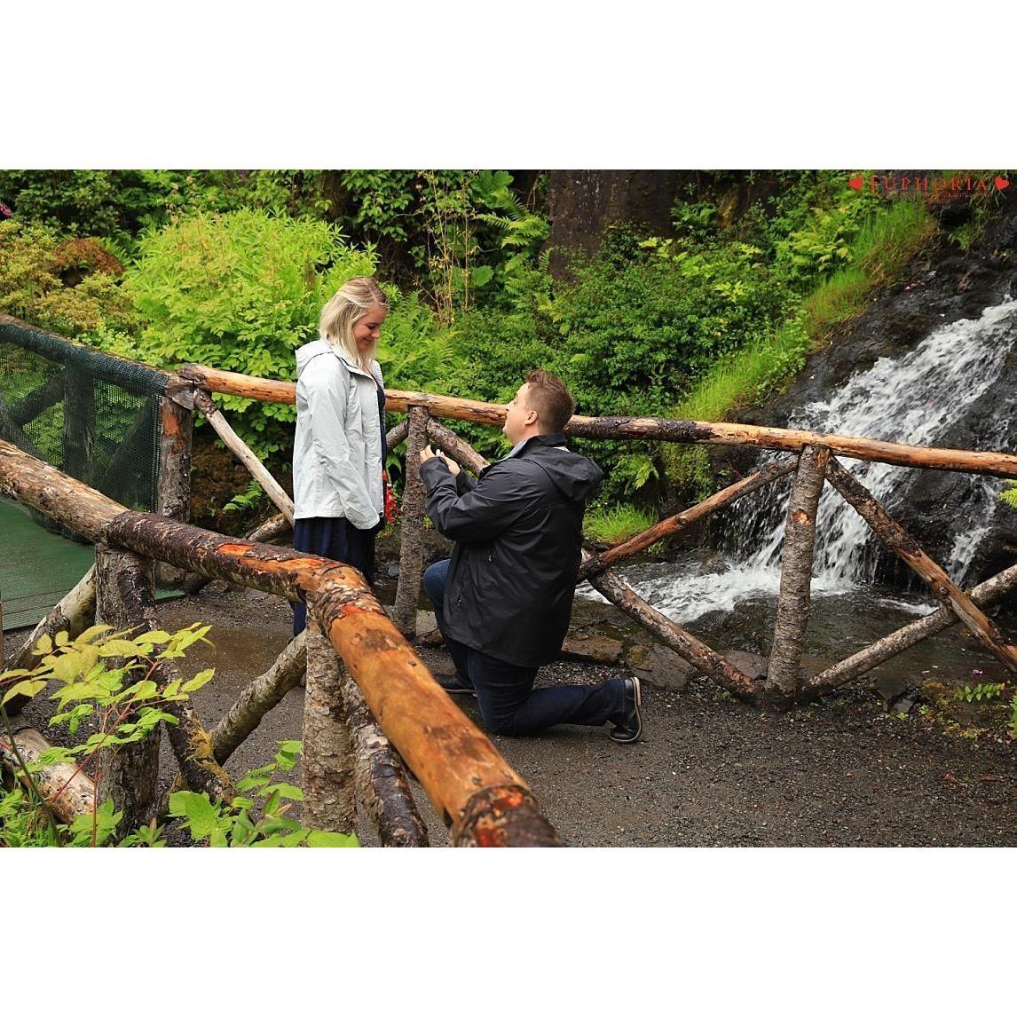 The proposal at Dunvegan castle and gardens!