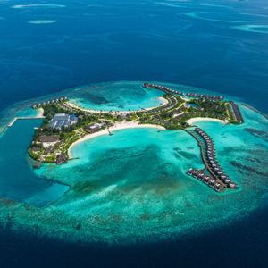 Honeymoon Fund