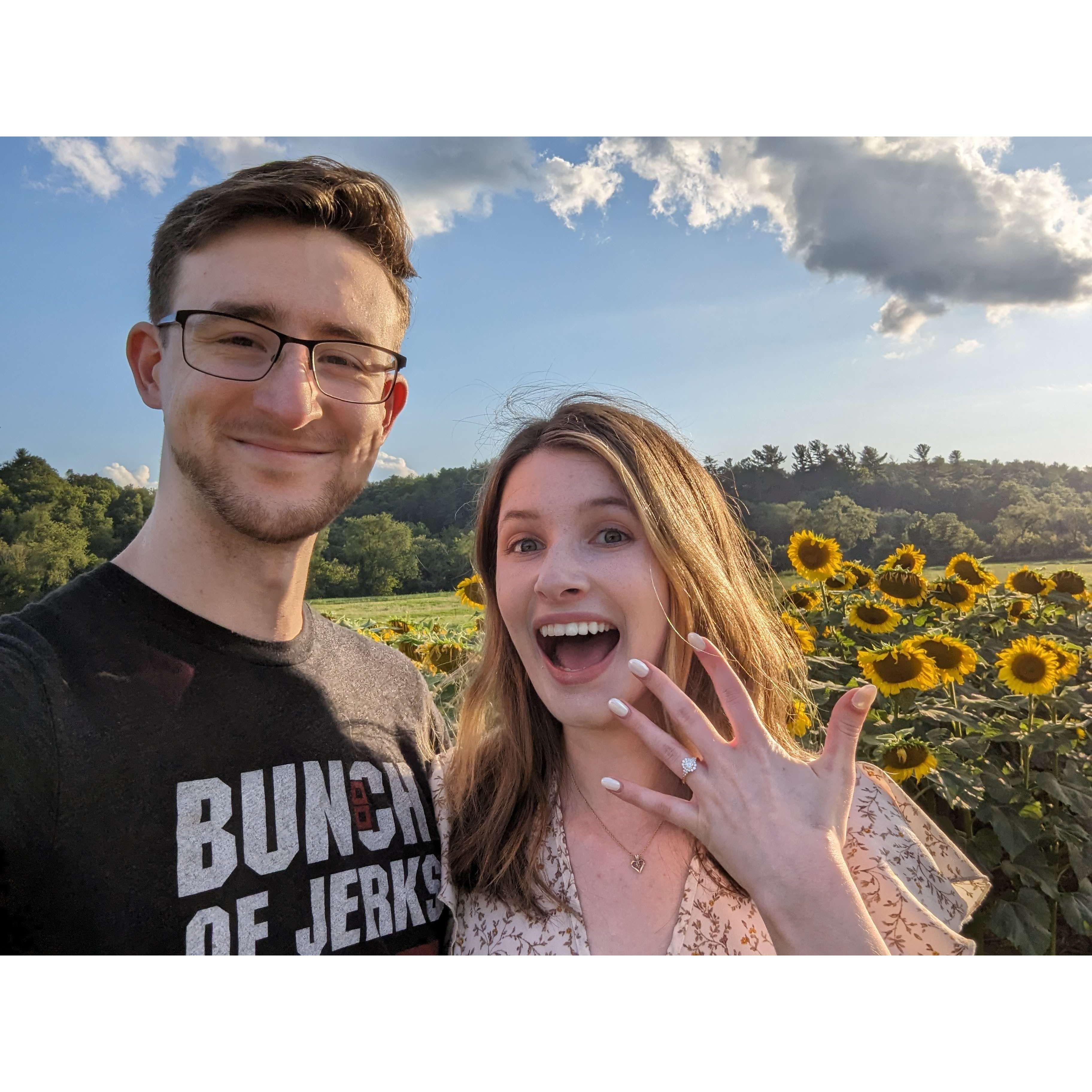 Of course we had to take some photos with the beautiful sunflowers while visiting Biltmore!