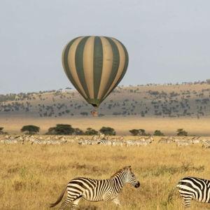 Hot Air Balloon Tour