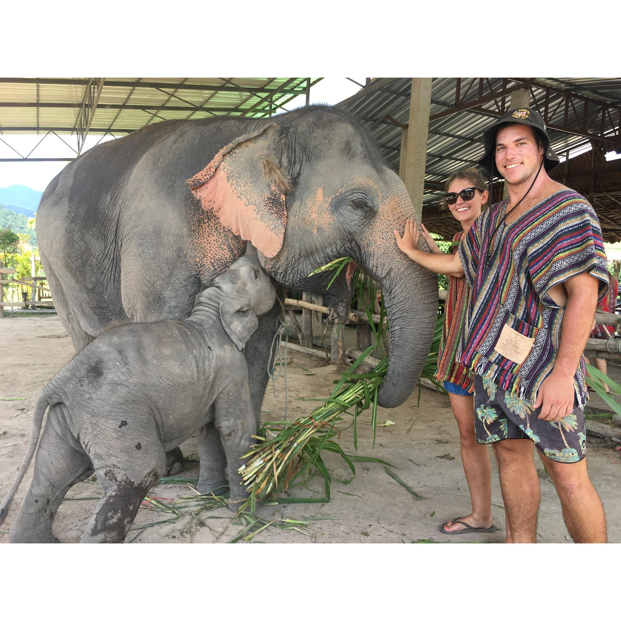 Chiang Mai, Thailand
2017