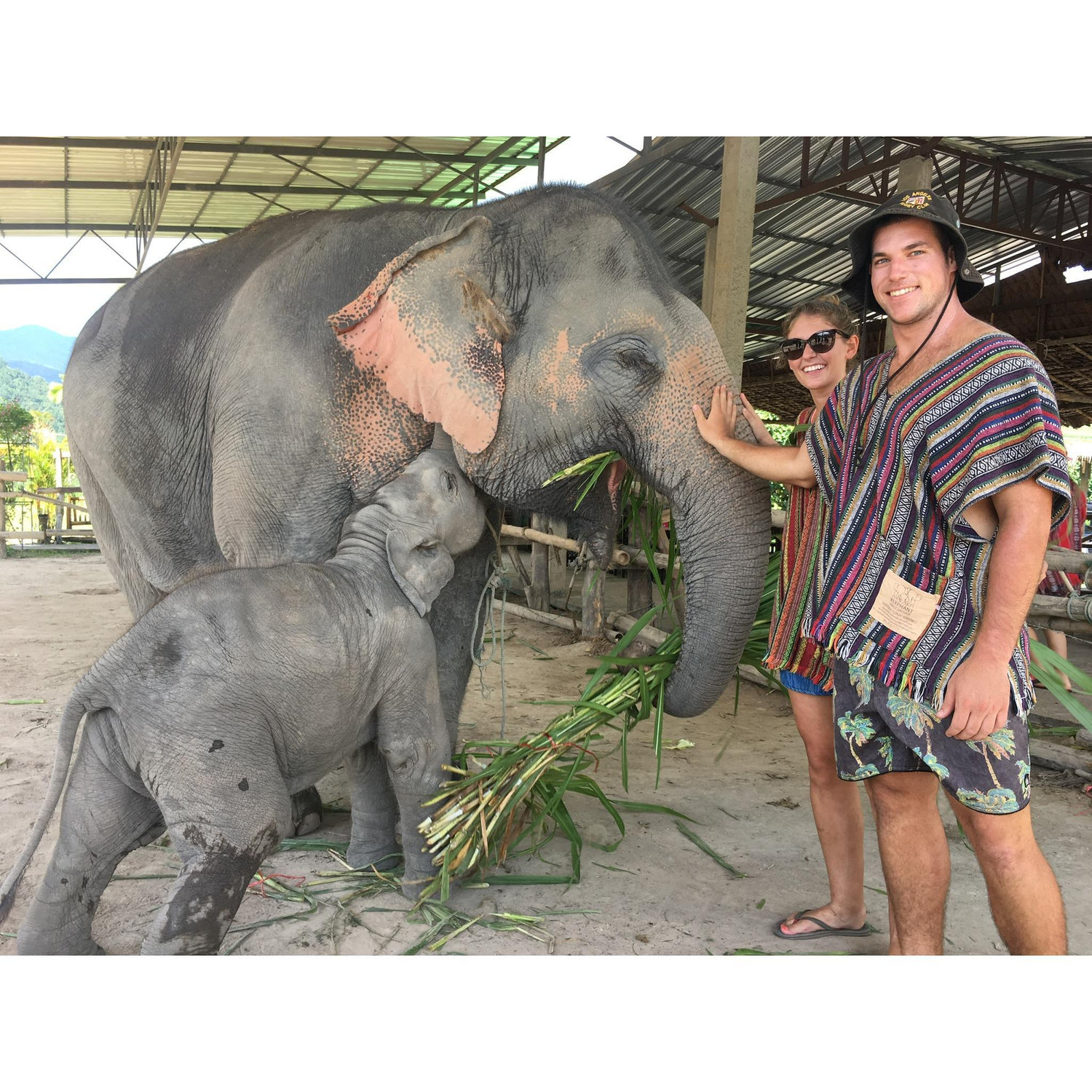 Chiang Mai, Thailand
2017