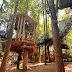 Museum of Life and Science