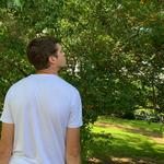 Arnold Arboretum of Harvard University
