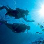 Scuba Diving