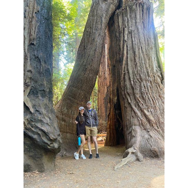 Hiking in the Redwoods