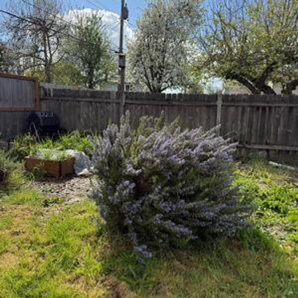 Garden & landscaping fund