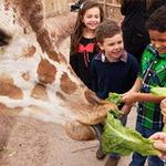 El Paso Zoo and Botanical Gardens