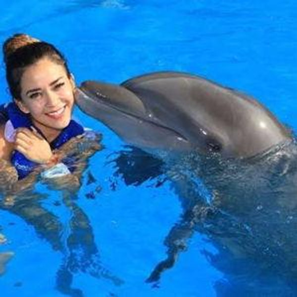 Swim with Dolphins