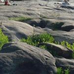 Belle Isle