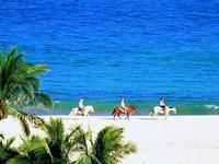 Baja's Awesome Beach Rides