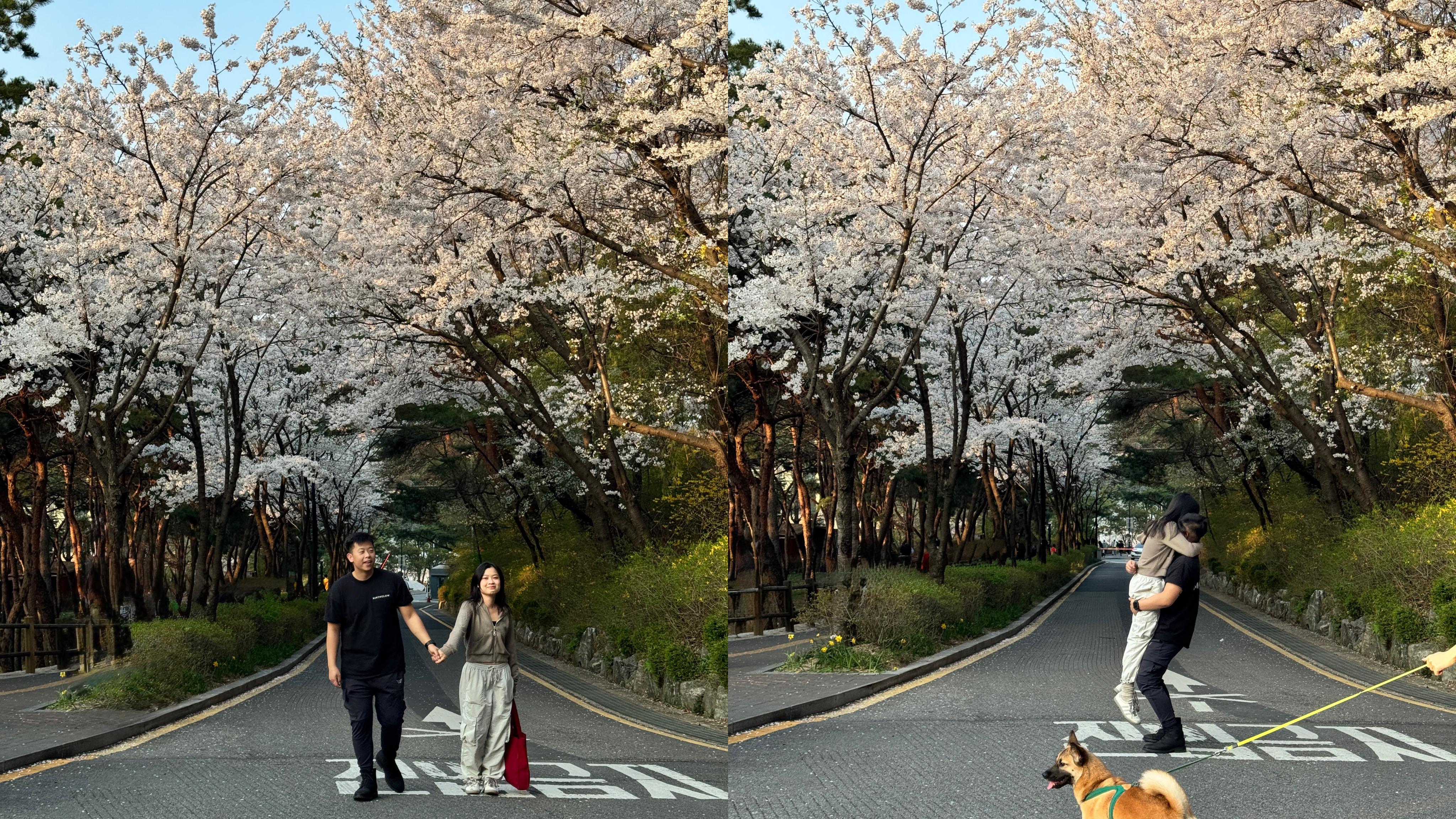 The Wedding Website of MATTHEW VO and HANH DO