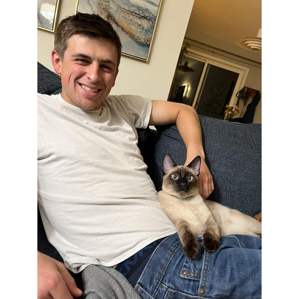 0c67d6fb-e18f-42e7-994d-878e99db13a6