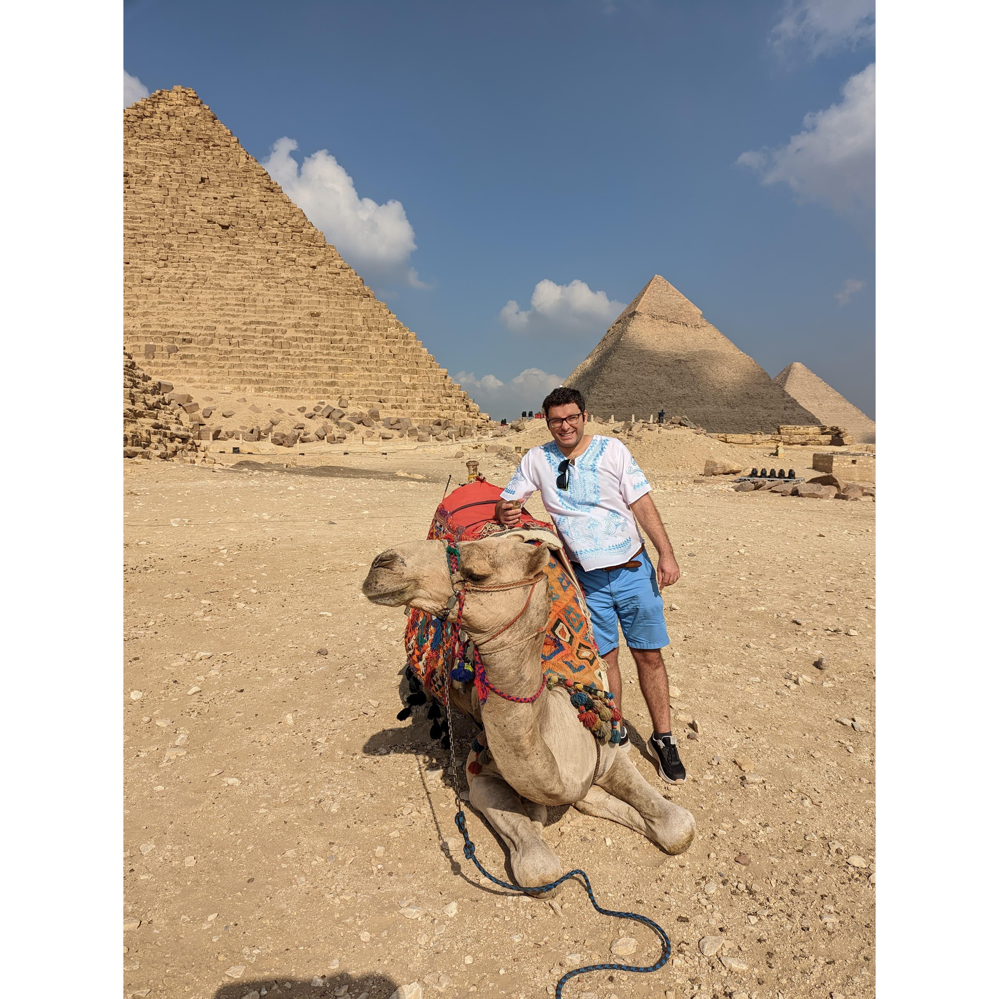 Bumpy Camel