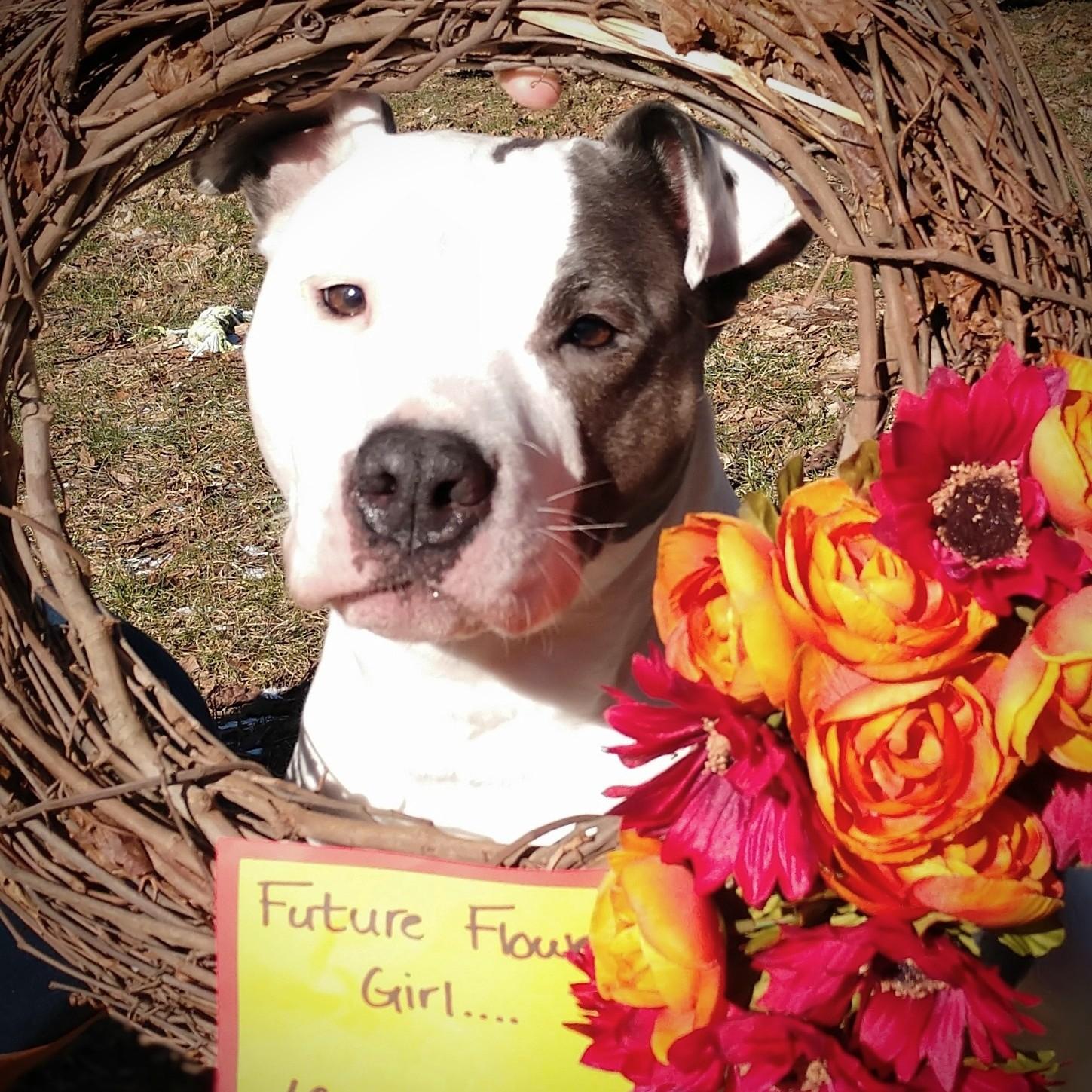 Future Flower Girl (March 2019)