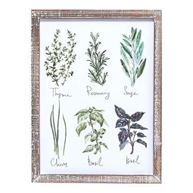 Barnyard Designs Vintage Herb and Spices Botanical Wood Framed Plaques, Primitive Country Farmhouse Home Decor Sign 16" x 12"