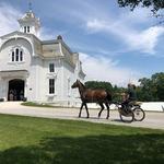 Morgan Horse Farm