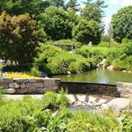 The Botanical Gardens