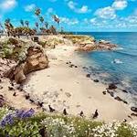 La Jolla Cove