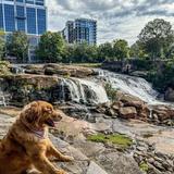 Falls Park on the Reedy