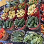 Farmers Market Annex