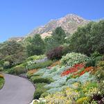 Red Butte Garden