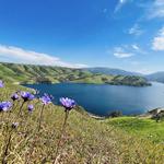 Del Valle Regional Park