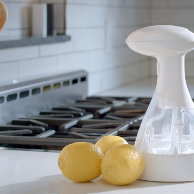 Sanitizing Spray Bottle