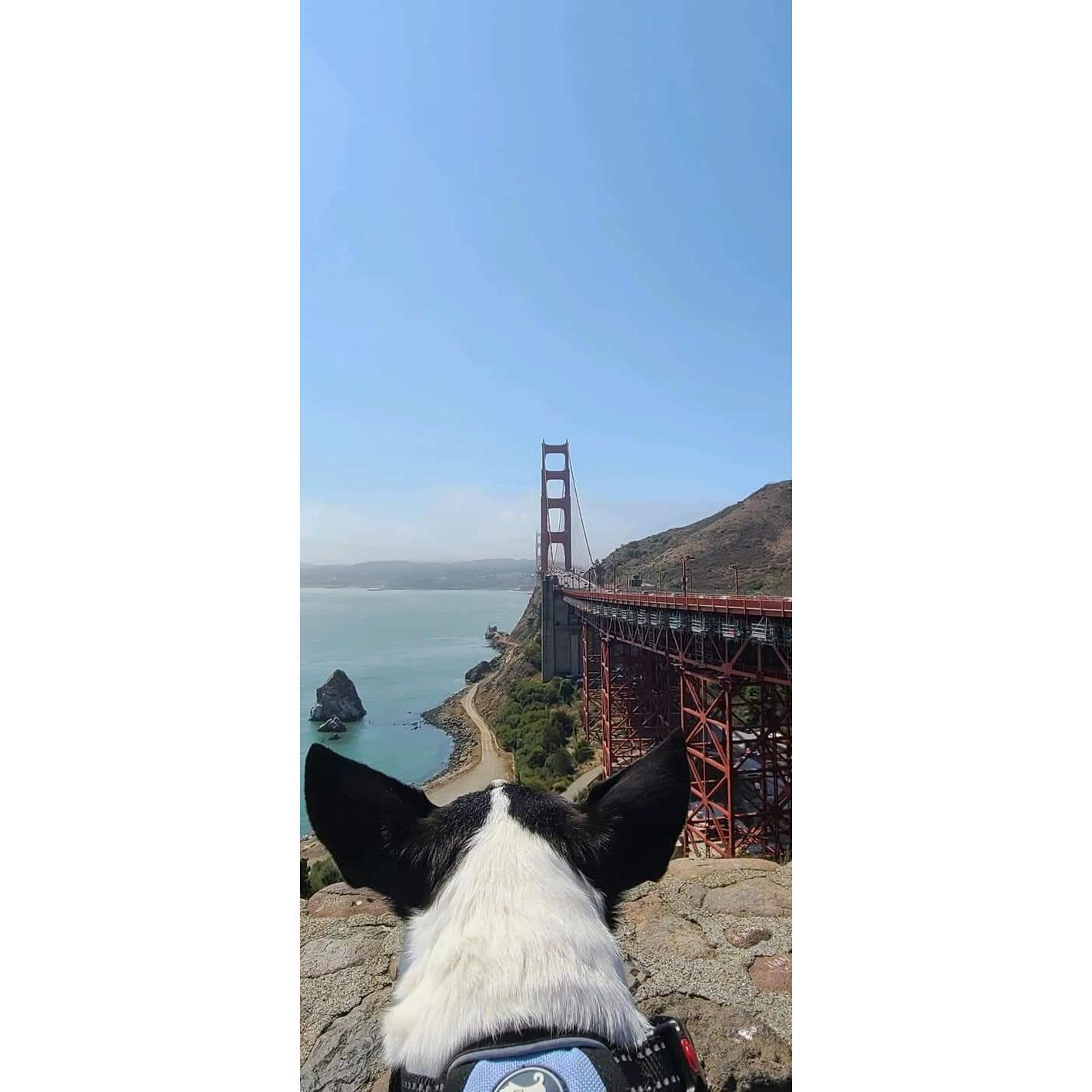 Golden Gate Bridge