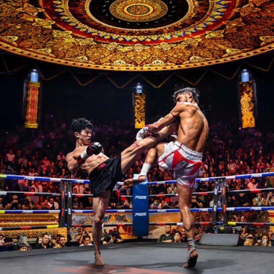 VIP Muay Thai Boxing Experience