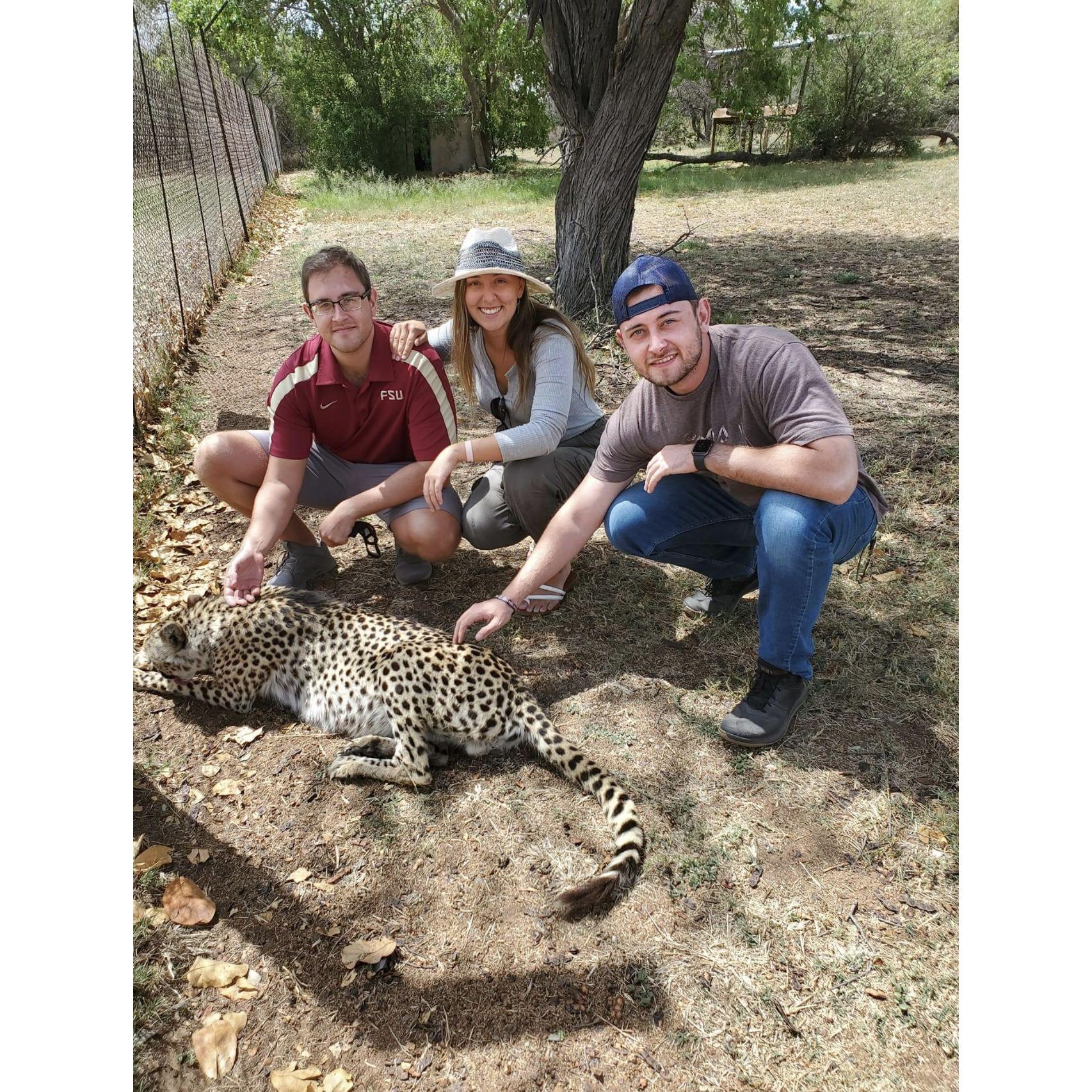 During their trip to South Africa, Jordan, Fred and Fred's brother, Estiaan take an exciting venture into a cheetah sanctuary!