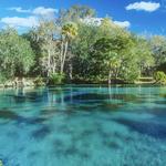 Silver Glen Springs