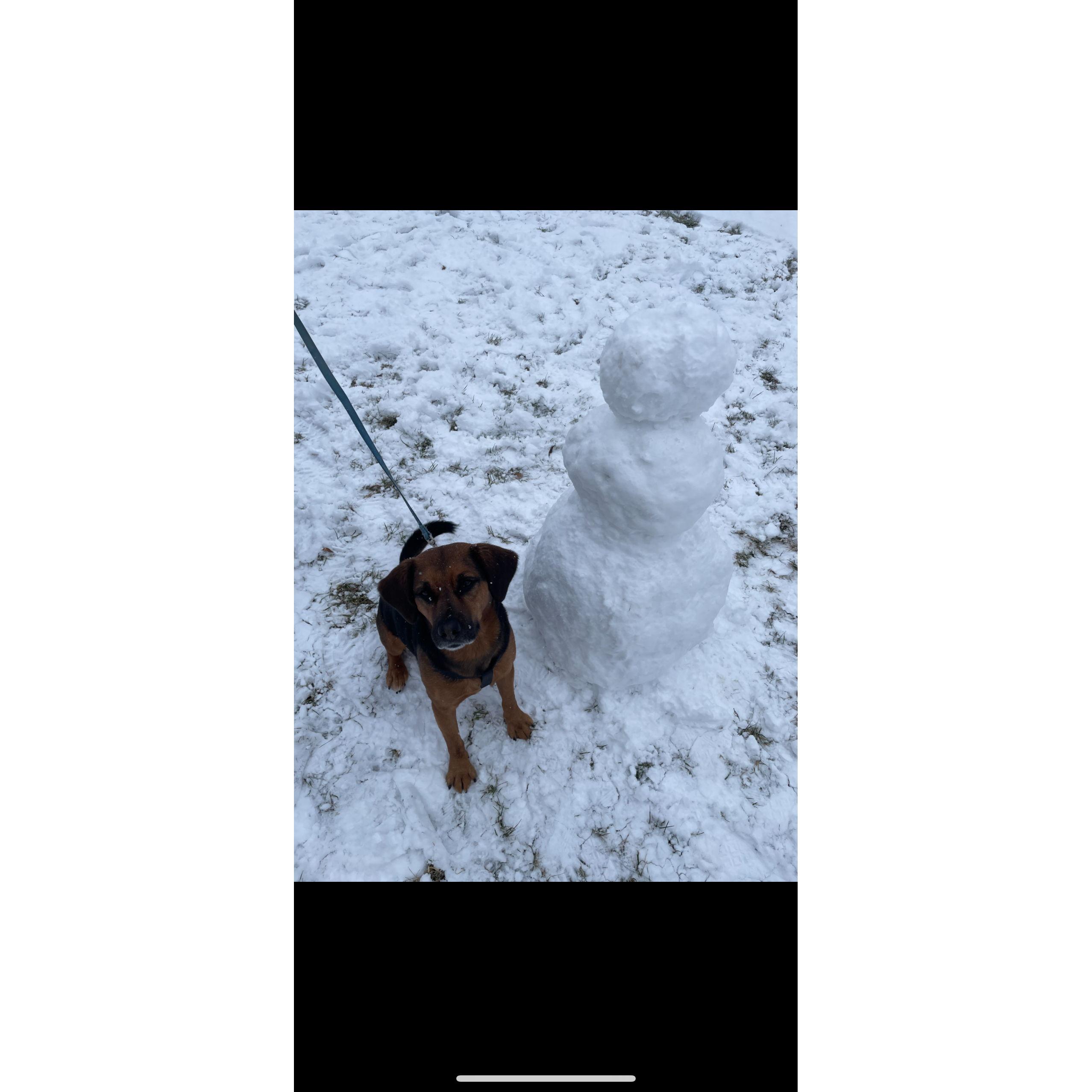 First snow(man) after moving up north, Winter 2023