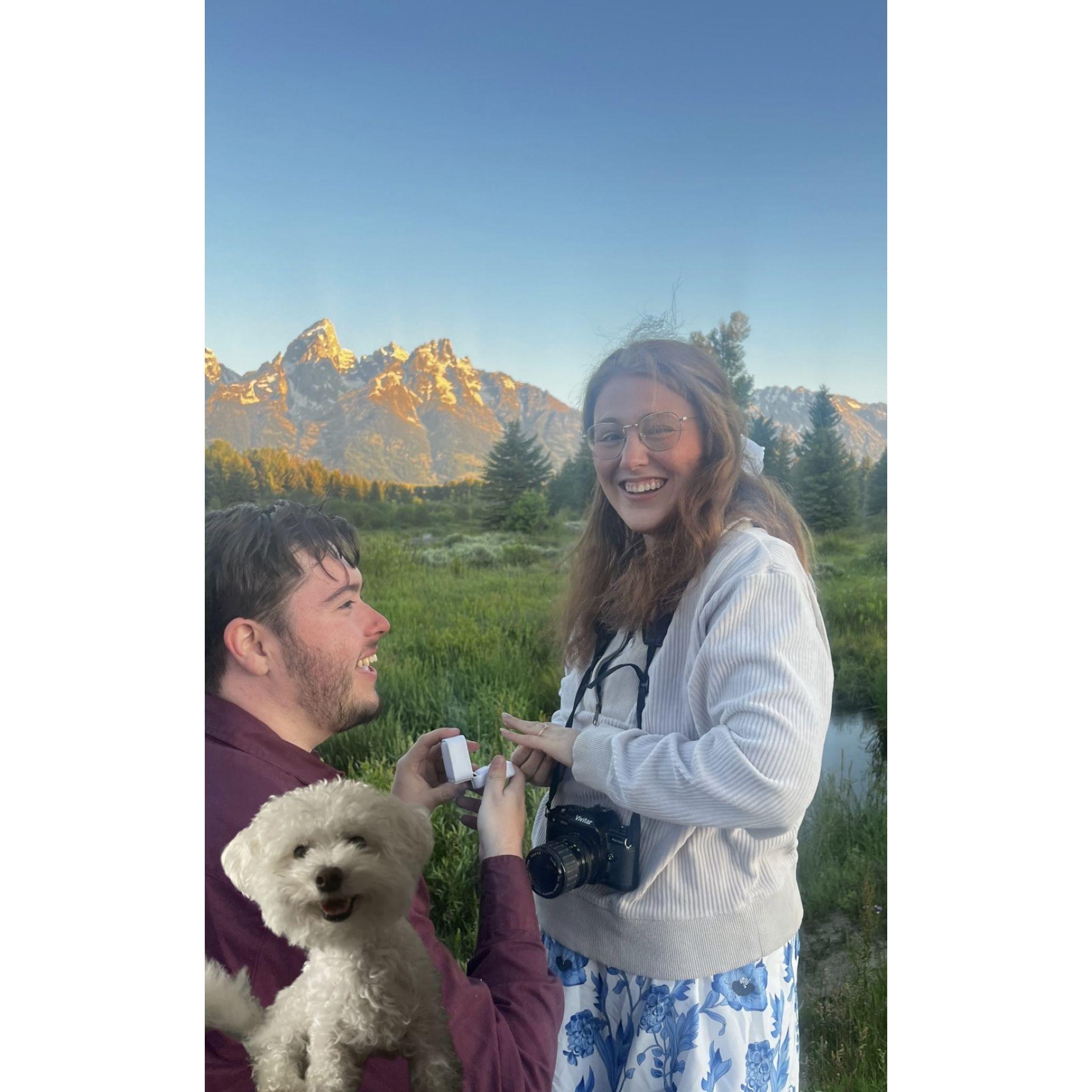 Our engagement ft. our son Bernie (he was totally there)