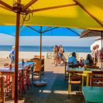 Xolo: Maíz Agave Chile