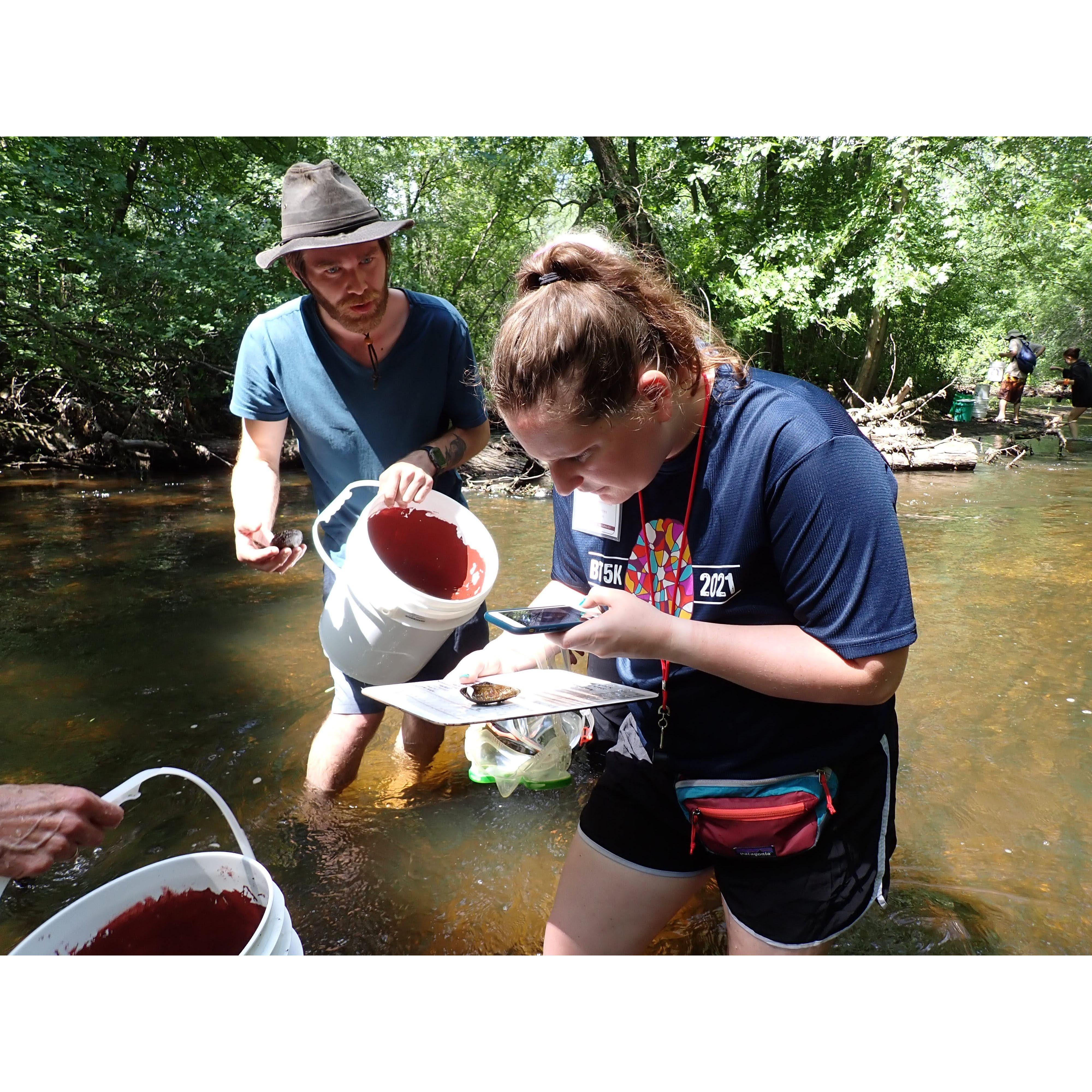 Mussel Research in Rice Creek