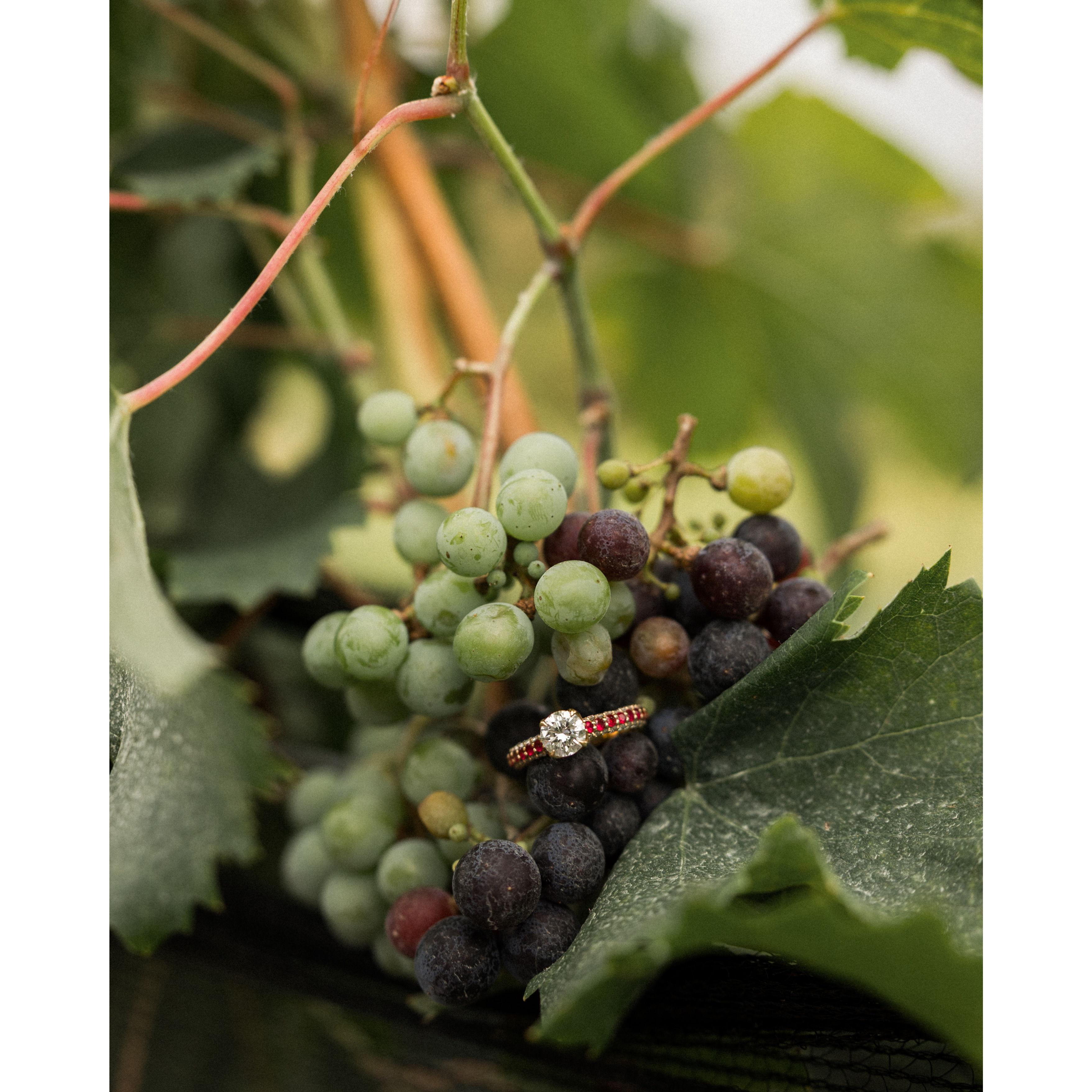 Photo: Kim Hymes Photography