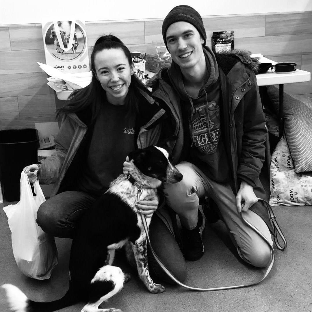 April 2, 2023 - The day we adopted Sylvie!