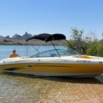 Paradise Wild Wave Boat Rentals
