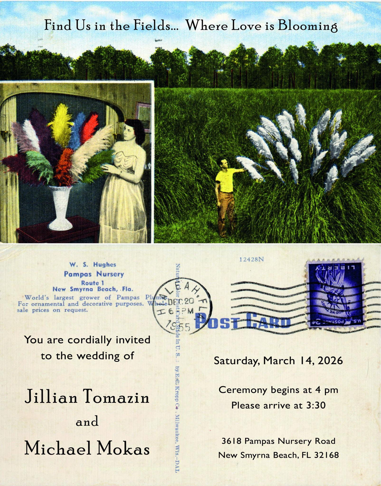 The Wedding Website of Jillian Tomazin and Michael Mokas