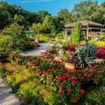 Cantigny Park
