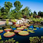 Denver Botanical Gardens