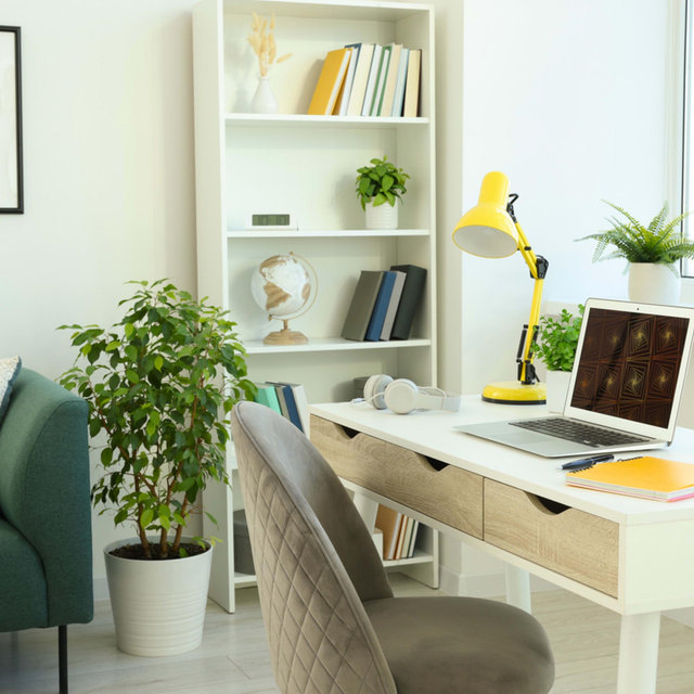 Home Office Furniture Fund (for Sarah’s PhD!)