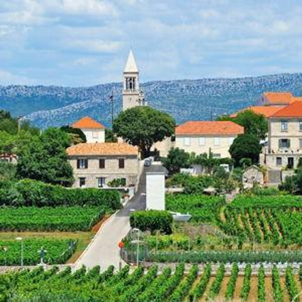 Honeymoon - Bike & Wine Tour of Korcula Island