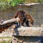 Denver Zoo