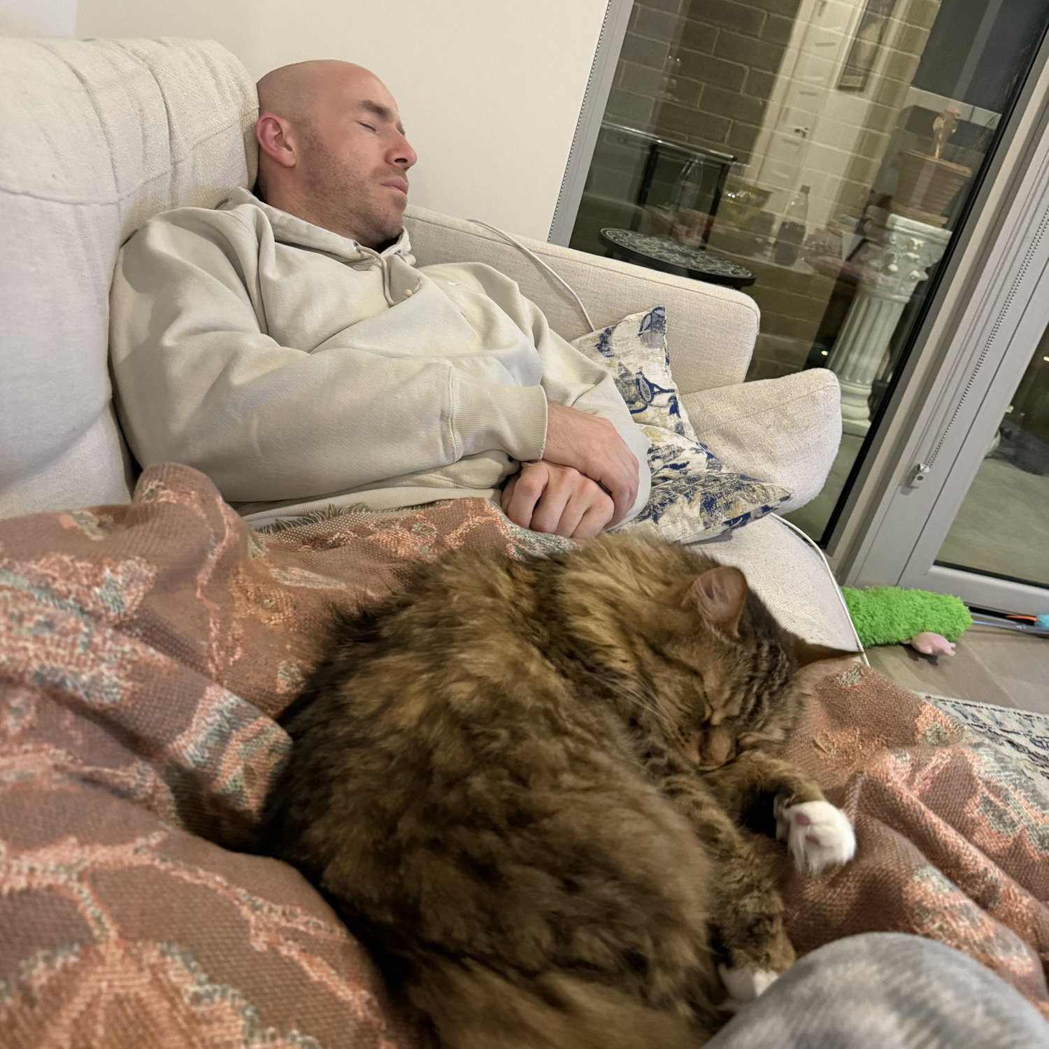 Best cat dad